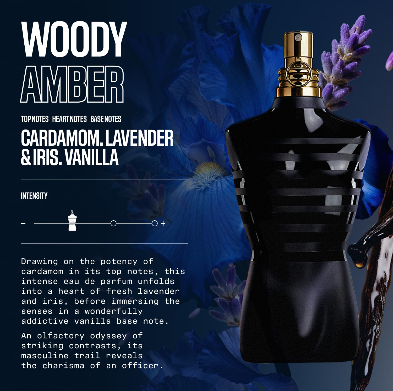 Amazon.com : Jean Paul Gaultier Le Male Le Parfum - Amber Woody
